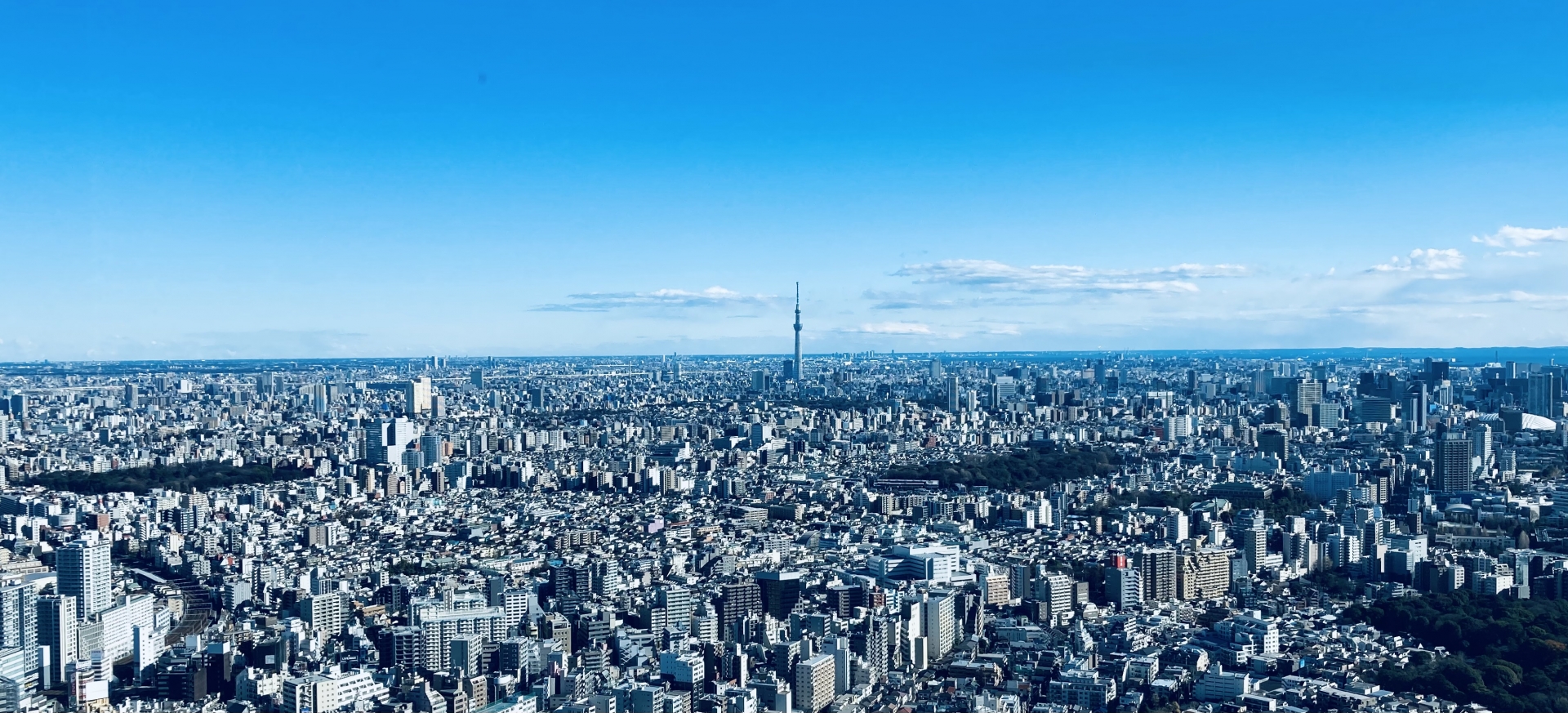 検索で見つからないお部屋を提案します！日本最大級のオンライン賃貸仲介 よくあるご質問 ログイン iettyアプリ画面 非公開物件がたくさん！登録・利用無料！仲介手数料は50%OFF！ 今すぐお部屋探しをはじめよう アプリではじめる ietty 賃貸・部屋探しはietty - 首都圏エリア 賃貸物件検索 App Storeからダウンロード App Store QRコード Google Playで手に入れよう Google Play QRコード メールアドレスではじめる メールアドレス パスワード（8文字以上） 登録（無料） SNSアカウントではじめる facebook yahoo apple